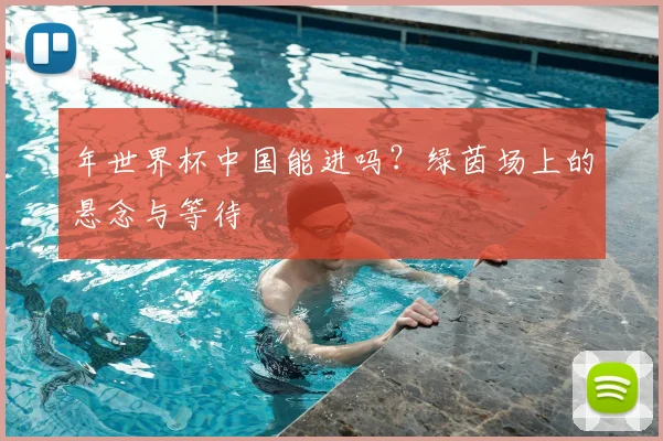 年世界杯中国能进吗?绿茵场上的悬念与等待