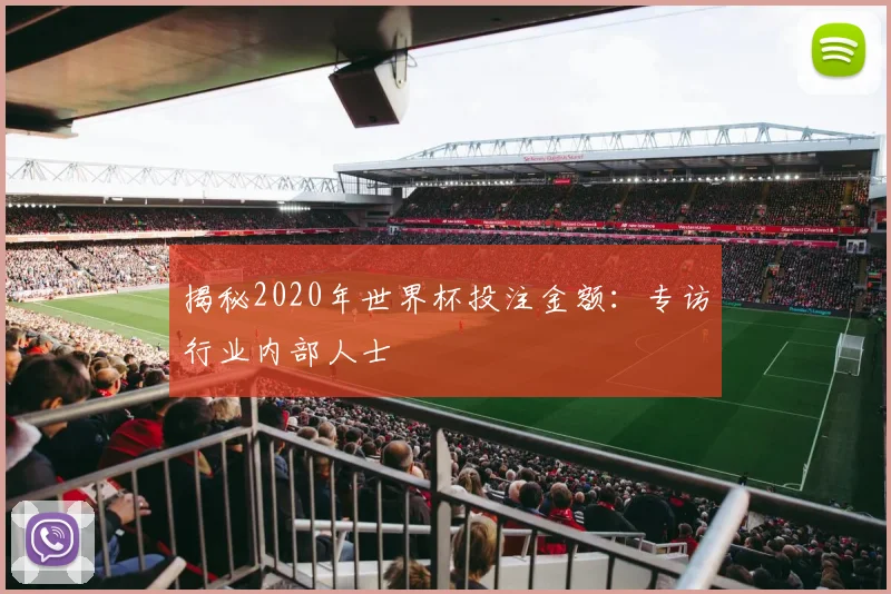揭秘2020年世界杯投注金额：专访行业内部人士